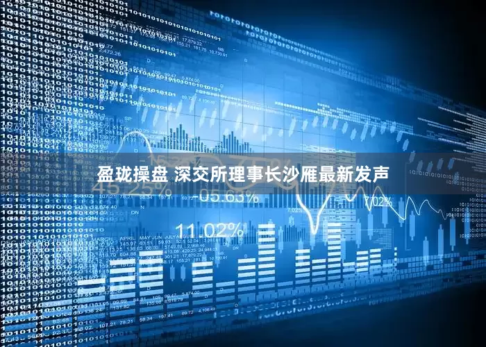 盈珑操盘 深交所理事长沙雁最新发声