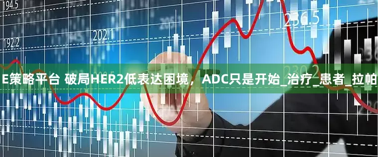 E策略平台 破局HER2低表达困境，ADC只是开始_治疗_患者_拉帕