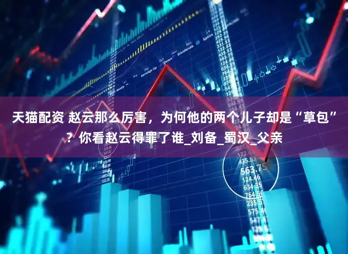 天猫配资 赵云那么厉害，为何他的两个儿子却是“草包”？你看赵云得罪了谁_刘备_蜀汉_父亲