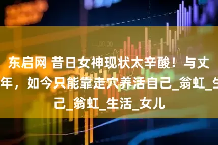 东启网 昔日女神现状太辛酸！与丈夫分居三年，如今只能靠走穴养活自己_翁虹_生活_女儿