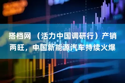 搭档网 （活力中国调研行）产销两旺，中国新能源汽车持续火爆